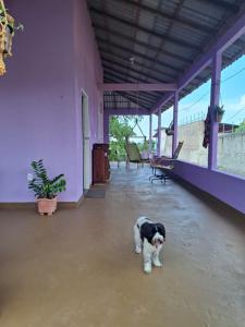 Casa Brisa do Tapajós