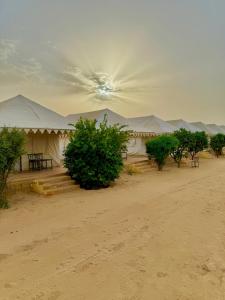 Sam Desert Safari Camping Jaisalmer - Best Desert Camp