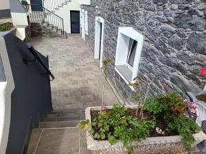 Adelaides Cottage