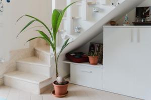 Casa Lidia- Pool, Garden, Parking img30