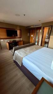 São Paulo Ibirapuera