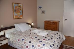 Vasiliki Apartment Trikala