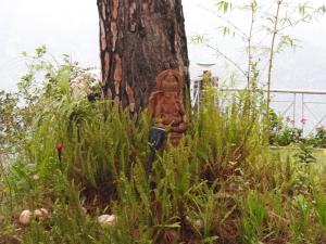 House in the Serene Hills of Bhimtal