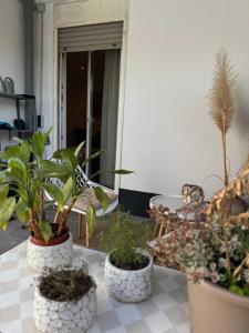 Modernes Apartment - Kirchfeld
