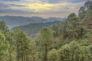 The Rajmahal Retreat I Jacuzzi I Vacations l Pet friendly & 3 Bedroom Villa I Family Events I Sky Bonfire I Kasauli By Exotic Stays