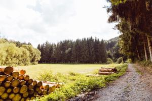 Leaf op het terrein accommodatie Woltzdal