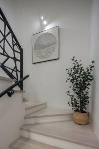 New! Luxury Villa Lunara - 50 m2 pool, in Istria