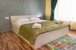 Cabana Walter Curtea de Arges with BBQ and Garden