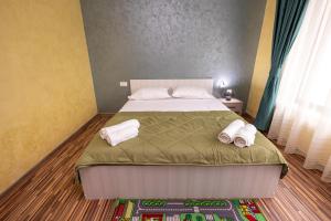 Cabana Walter Curtea de Arges with BBQ and Garden