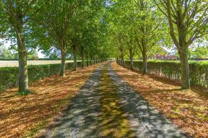 Cotton Farm Estate - 4 Cottages Sleeps 16