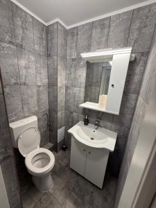 Apartamentul lui Radu