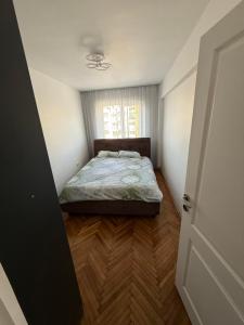 Apartamentul lui Radu