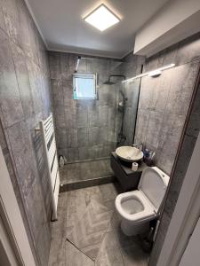 Apartamentul lui Radu