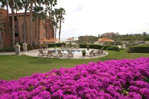 Gorgeous Casa del Mar Condo