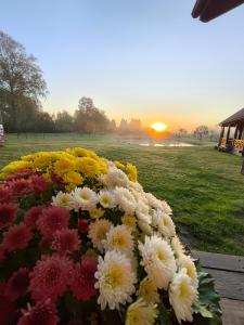 Užmiesčio trobelė