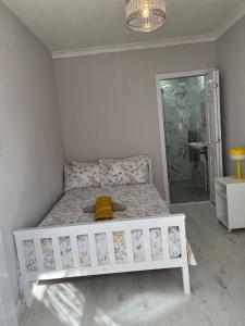 4 bed house near Watford Junction Station