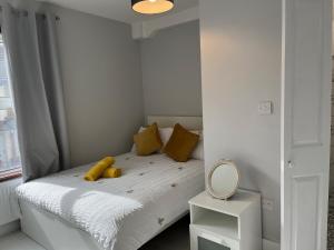 4 bed house near Watford Junction Station