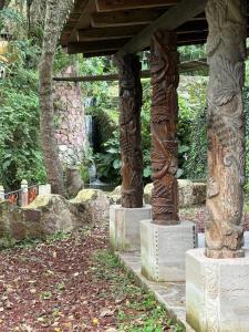 Shambala SPA Medicinal y Retiros