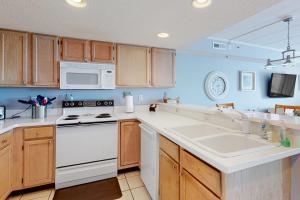 Tritons Trumpet C 504