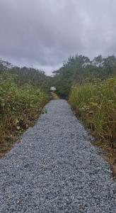 Chale raiz e conforto