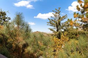 EV level 2, Pets Welcome at Sunset Ridge