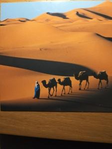 Camels House - 3hvězdičkové hotely ve městě Merzouga