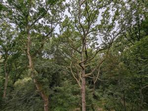 6 person holiday home in Hadsund