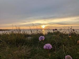 8 person holiday home in Tarm