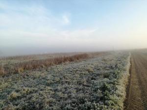 8 person holiday home in Løkken