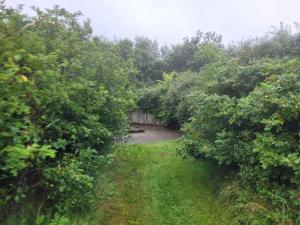 Idyllic Danish Farmhouse Retreat-By Traum