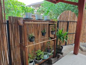 Bintang Beach 2 Bungalow