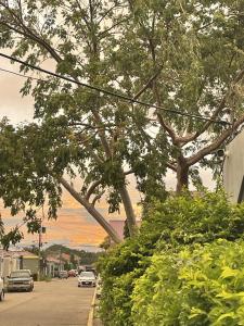 Trébol House Hostel