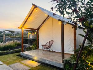 The Kamsha Kintamani