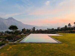 The Kamsha Kintamani