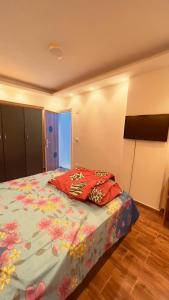 Luxury home at Mokatam heights