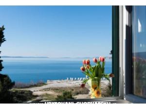 Apartment One Bedroom nmb 2