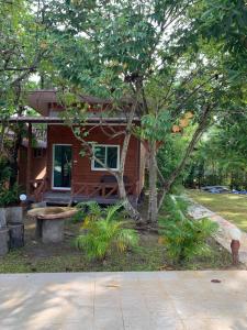 Jungle View Resort