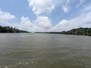 Rosellas Munroe East Kallada