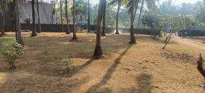 Ocean View Presidency