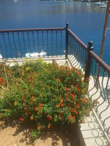 Kleanthi and Kostas Studios Symi Greece