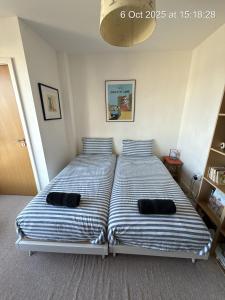 Homely Spacious 3 bedrooms duplex with roof-top next to Victoria Park & regents canal in vibrant East End London