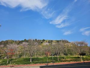 Yeosu Hotell First City in 430 Twin Half Ocean View