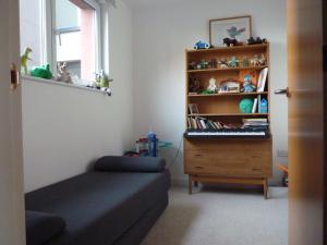 Homely Spacious 3 bedrooms duplex with roof-top next to Victoria Park & regents canal in vibrant East End London