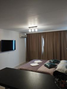 Studio apartament