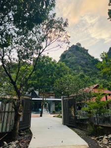 Trang An Haven & Tranquil Homestay
