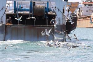 Authentic fishermans house Maison de pêcheur authentique