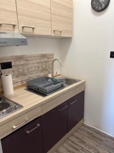 Banija studio apartments