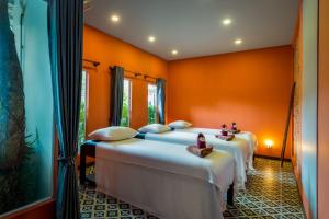 Green Amazon Residence