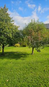 Ferienhaus - Hoamathaus