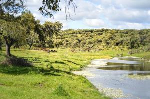 Casa Rural con piscina El Huerto del Olivo, Plasezuela, Trujillo, Cáceres